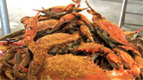 premium jumbo hard crabs