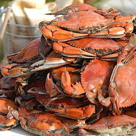 steamed blue crabs