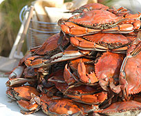 One Bushel Select Steamed Maryland Blue Crabs ( Male )