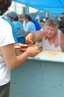 crab seasoning