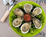 Chesapeake Bay Oysters