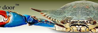 Blue crabs